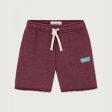 Boys & Girls Wine Red Cotton Shorts Online now