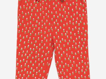 Stella McCartney Baby Girls Floral Joggers in Red Online